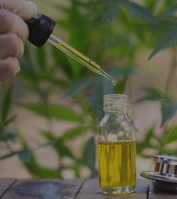 cbd oil tincture drops - Herbane Health