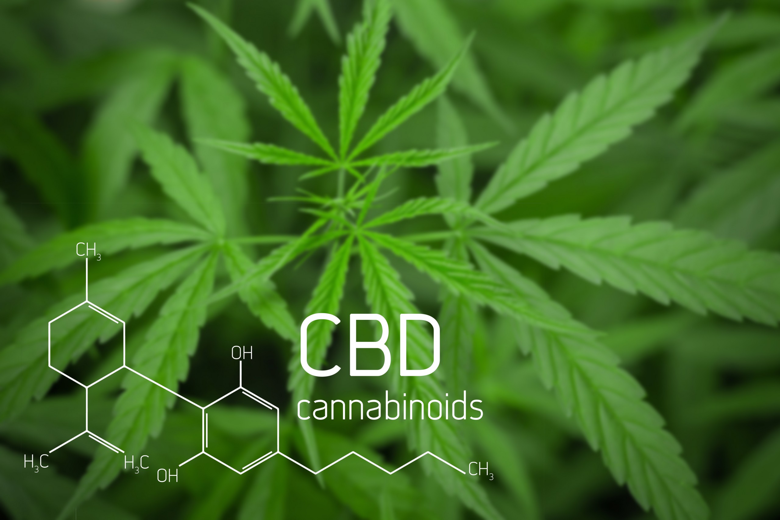 What is cannabinoid