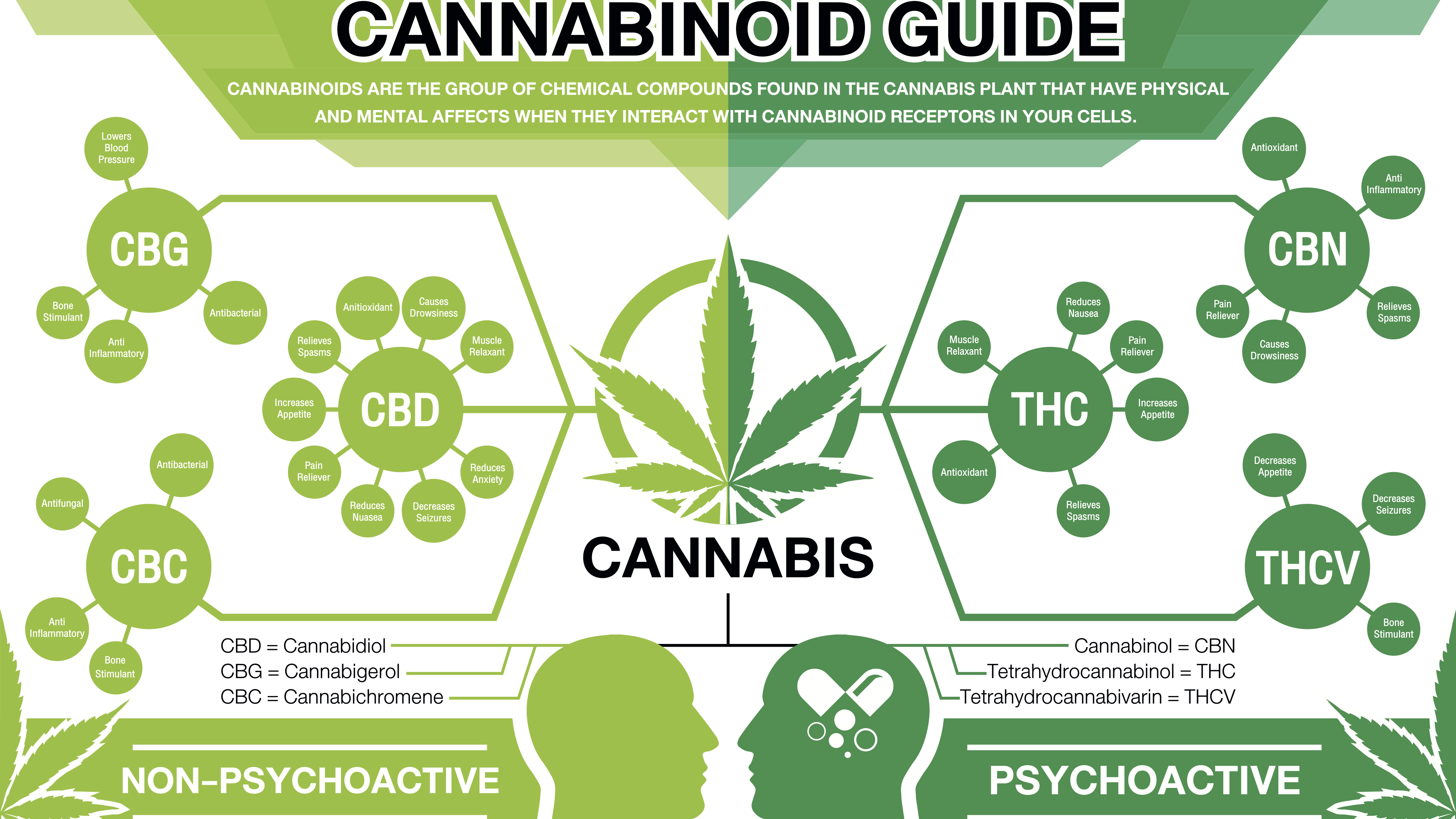 WHAT IS A CANNABINOID