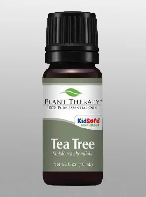 Tea Tree Essential Oil Therapy - Herbane Health