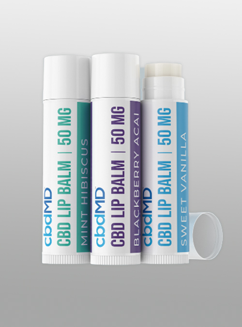 cbd lip balm 3 pack by cbdMD 150mg